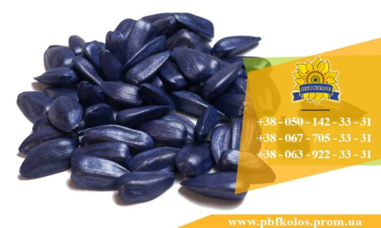 Семена подсолнечника Ясон / Насіння соняшника - фото № 1