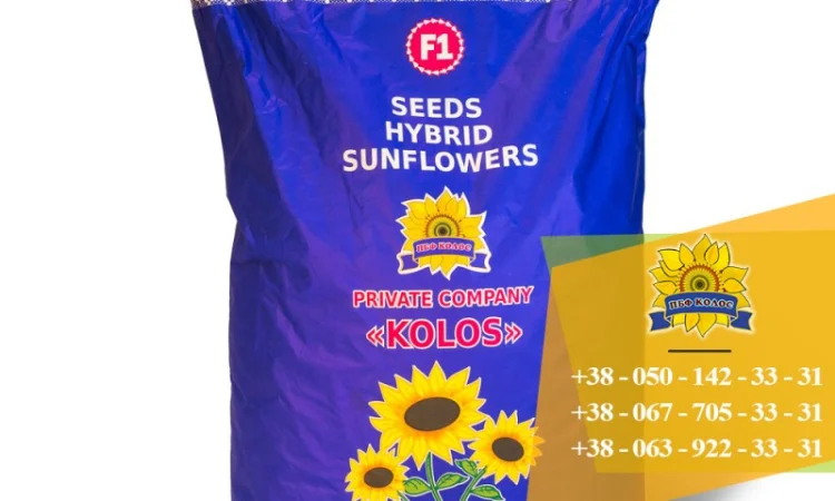 Семена подсолнечника Ясон / Насіння соняшника - фото № 5