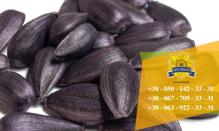 Семена подсолнечника / Насіння соняшника Базальт - фото № 2