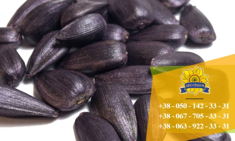 Семена подсолнечника / Сертифіковане насіння соняшника - фото № 9