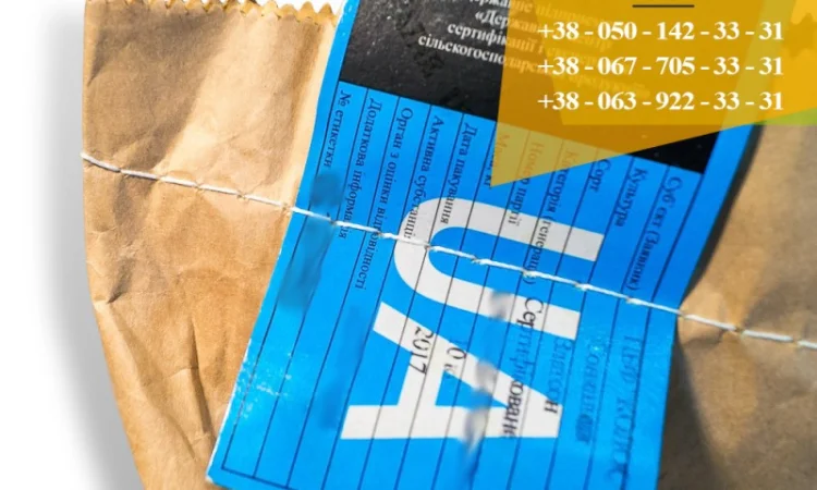 Семена подсолнечника / Сертифіковане насіння соняшника - фото № 12