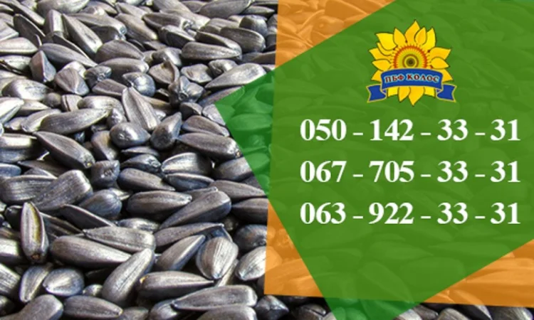 Насіння виробника ПБФ "Колос" - фото № 2