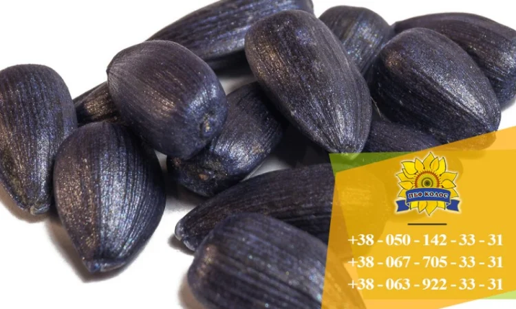 Насіння виробника ПБФ "Колос" - фото № 8