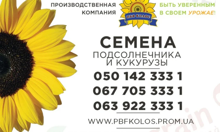 Якісне насіння від виробника ПБФ «Колос» - фото № 1