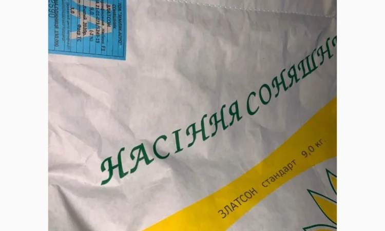 Соняшник Златсон - фото № 5