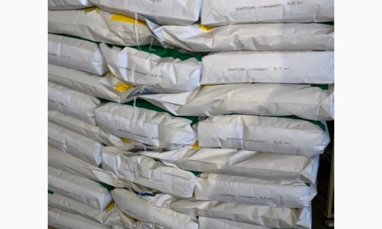 Соняшник Златсон - фото № 6