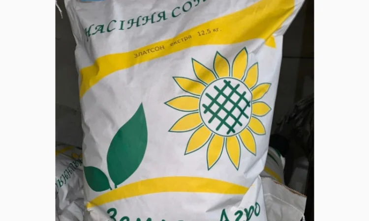 Соняшник Златсон - фото № 1