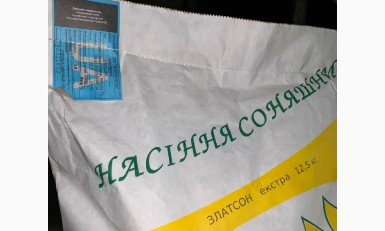 Соняшник Златсон - фото № 2