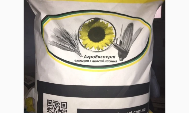 Соняшник ЧАРОДІЙ - фото № 1