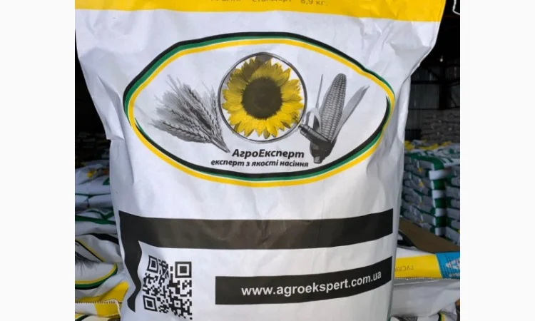 Гібрид соняшника Гусляр - фото № 2