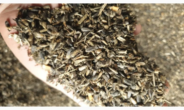 Продам отходи соняшника - фото № 1