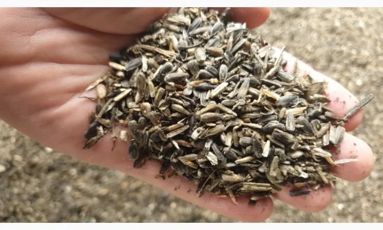 Продам отходи соняшника - фото № 2