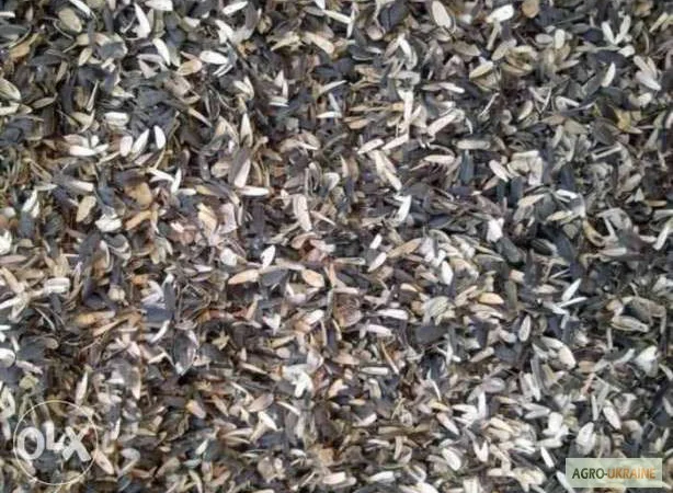 Куплю відходи соняшнику - фото № 1