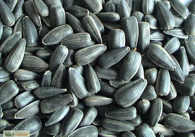 Куплю просроченный посевмат - фото № 1