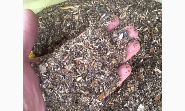 Куплю отходы подсолнуха - фото № 1