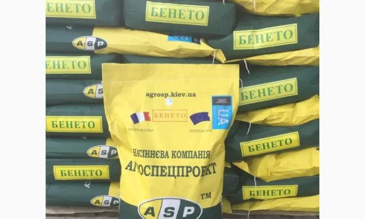 Семена соняшника Бенето F1 від виробника - фото № 1