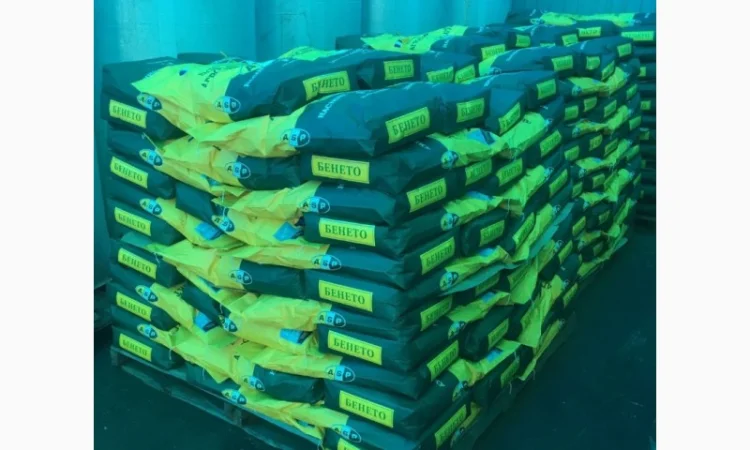 Семена подсолнечника Бенето F1 от Производителя - фото № 2