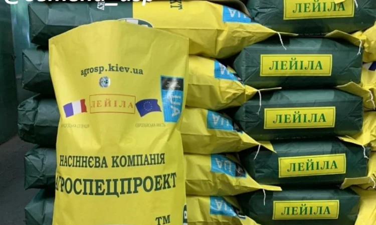 Семена подсолнечника Лейла F1 от Производителя - фото № 1