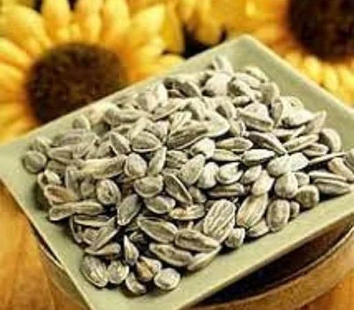 Оптом куплю семечку подсолнечника сорную Украина - фото № 1