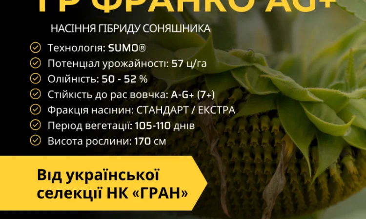 Насіння соняшника під гранстар гібрид ГР Франко (105-110дн) Ціна від 3300грн/п.о - фото № 1