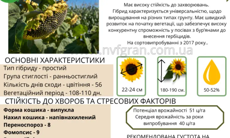 Тільки до кінця локдауну знижка на насіння соняшника 10% - фото № 10