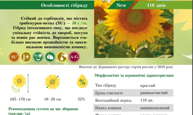 Тільки до кінця локдауну знижка на насіння соняшника 10% - фото № 3