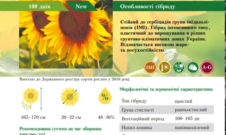 Тільки до кінця локдауну знижка на насіння соняшника 10% - фото № 4