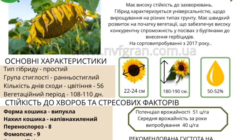 Тільки до кінця локдауну знижка на насіння соняшника 10% - фото № 8