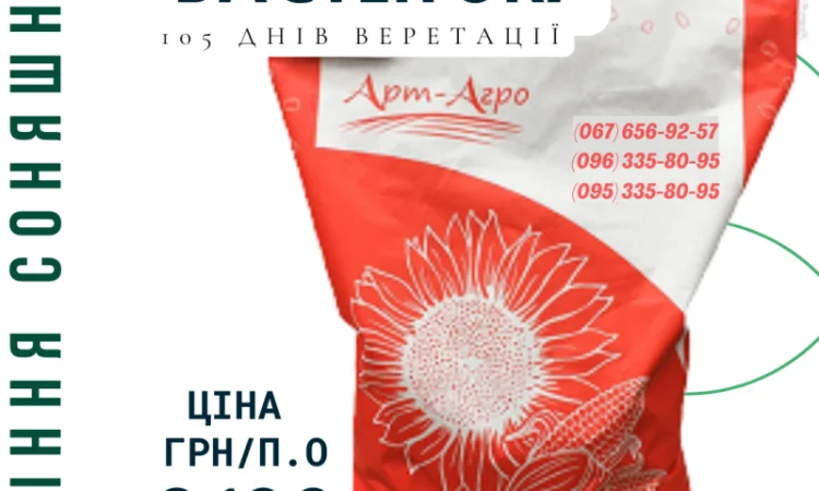 Акція !!! Насіння соняшника толерантний до гранстару - фото № 1