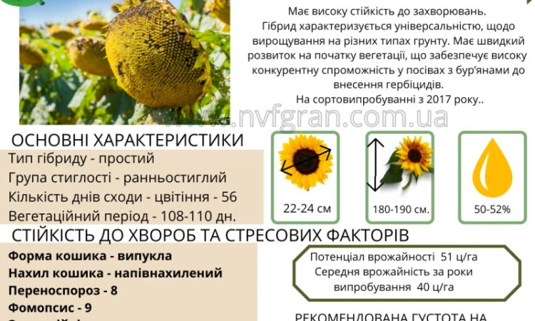 10% на посівний матеріал соняшника - фото № 4