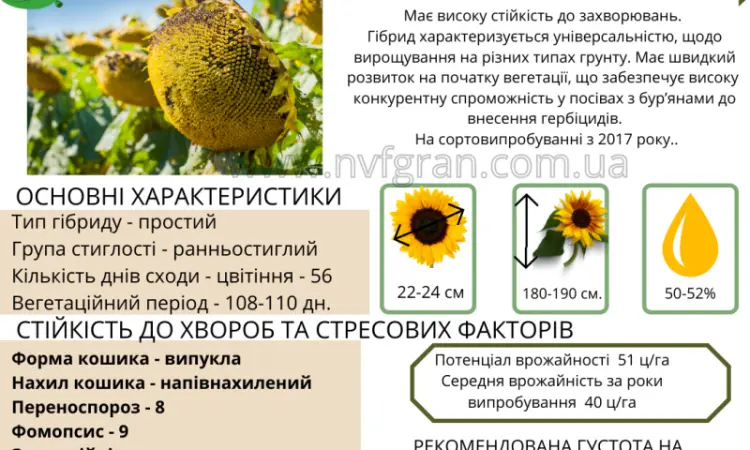 10% на посівний матеріал соняшника - фото № 4