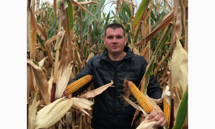 Насіння від виробника IMI, SU, Класичні нібриди соняшника та кукурудзи ФАО від 200 до 400 - фото № 1