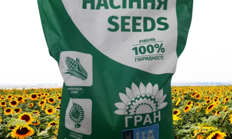 Пропоную посівний матеріал соняшника під Євро-лайтнінг - фото № 1