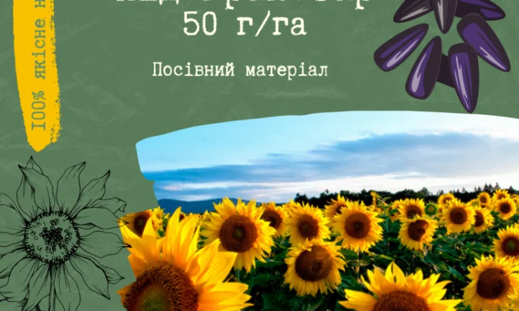 Продам насіння соняшника під Гранстар (50г/га) - фото № 1