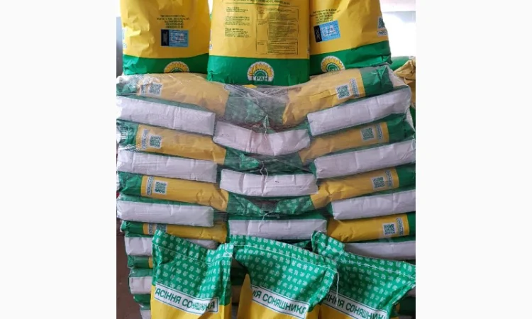 Насіння соняшника гібрид Карат(SU)- стійкий до вилягання та посухи - фото № 6