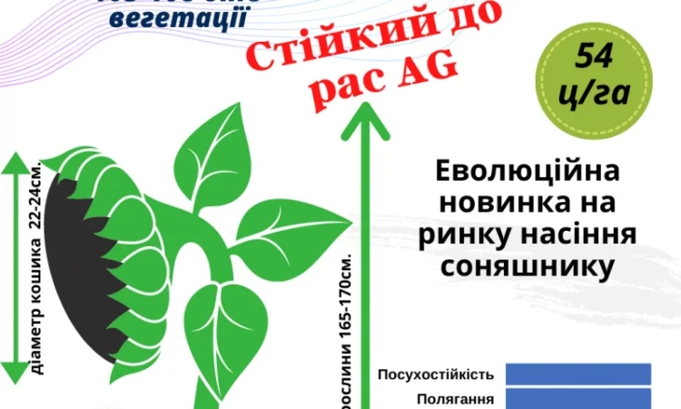 Новинки !!! Насіння соняшника гібрид -Урбан OR7+ під гранстар - фото № 2