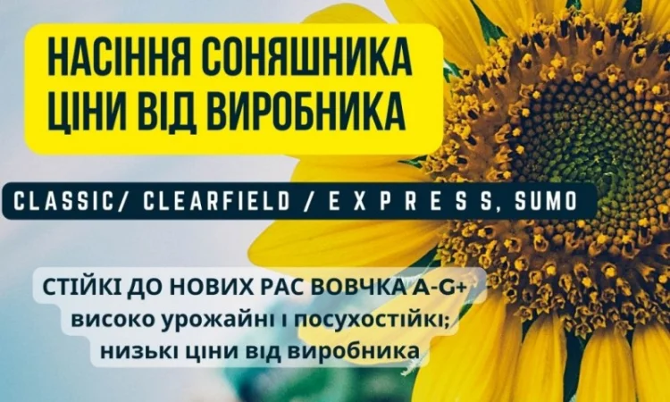 Новинка!!! Насіння Соняшника Гібрид - УРБАН OR7 (SU) - фото № 1
