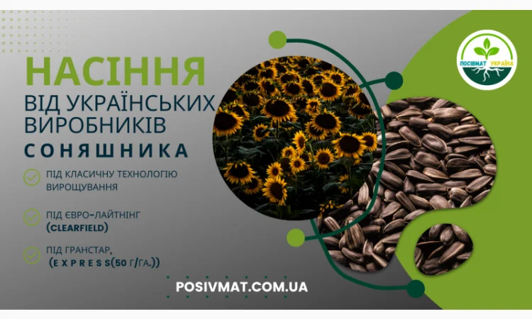 Урбан OR7+ (105-110 дн.) під гранстар 50 гр/га - фото № 1