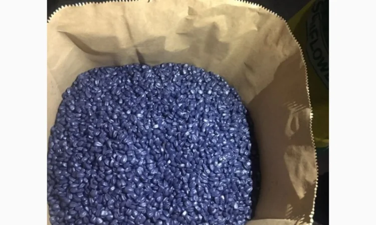 Карат- посівний матеріал бюджетного - фото № 4