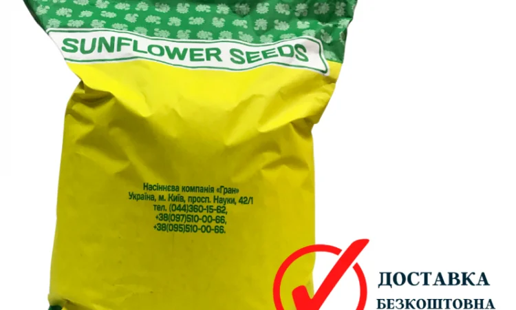 Посівний матеріал соняшника Гібрид ФеніксOR7 - фото № 3