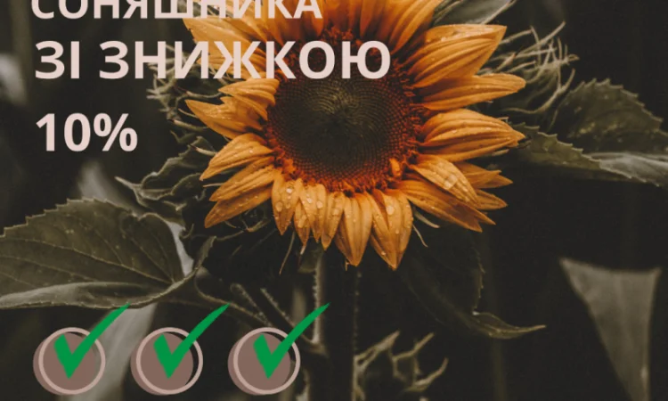 Посівний матеріал соняшника Гібрид ФеніксOR7 - фото № 1