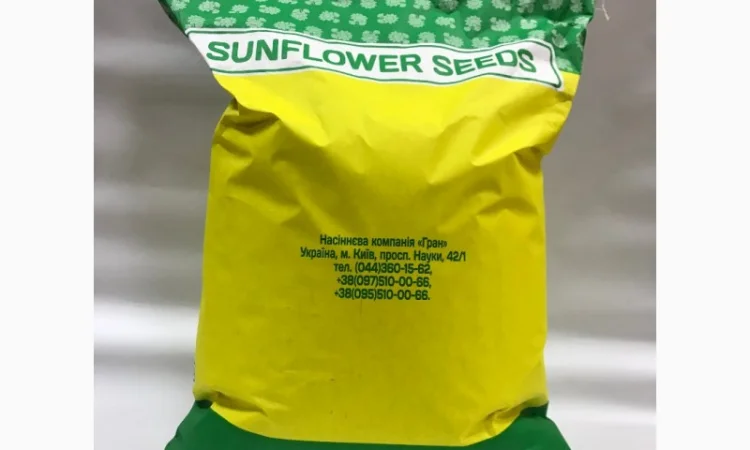 НОВИНКА!!! Гібрид ФЕНІКС - посівний матеріал соняшника під гранстар - фото № 1