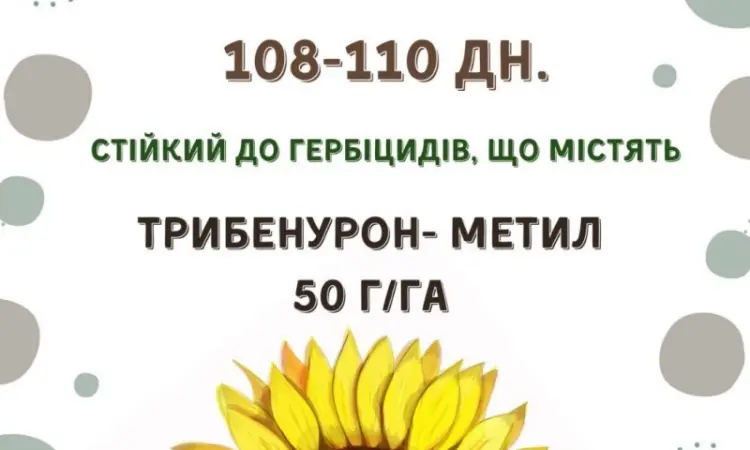 Посівний матеріал соняшника. Гібрид КАРАТ (108-110дн.) - фото № 2