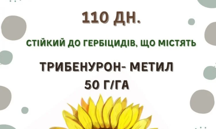 ПРОДАМ!!! насіння соняшника під гранстар - ШЕНОН OR7+ (110дн.) - фото № 1