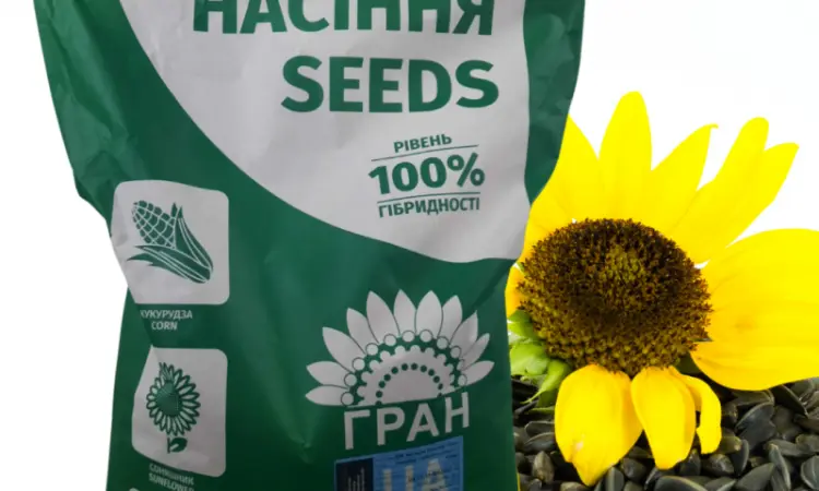 Новинки 2023! Посівний матеріал гібридів соняшника - фото № 1