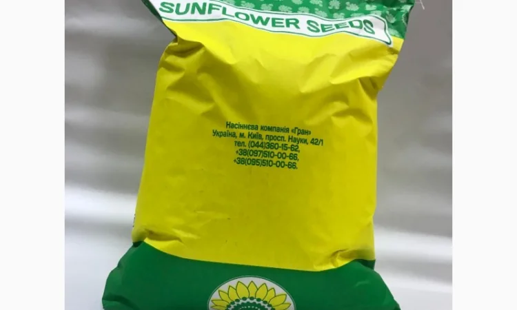 Гібрид соняшника стійкий до посухи - ФЕНІКС OR7+, НОВИНКА на ринку україни - фото № 2