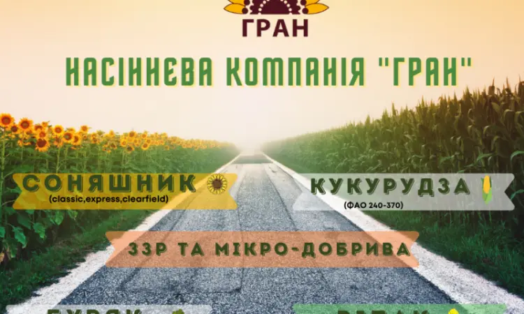 На посівну 2021 року насіння соняшника та кукурудзи за доступними цінами - фото № 1