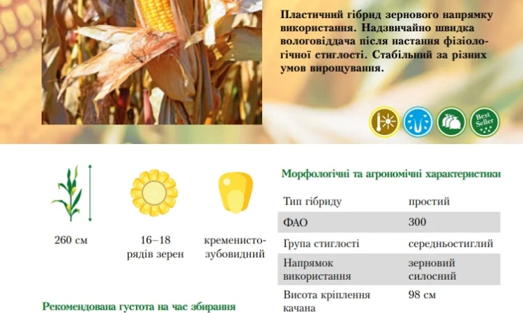 На посівну 2021 року насіння соняшника та кукурудзи за доступними цінами - фото № 2