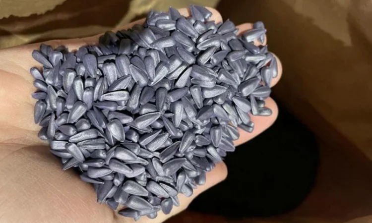 Насіння соняшника класичної технології Флоріан гібрид - фото № 1