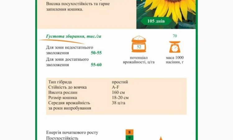 Насіння соняшника класичної технології Флоріан гібрид - фото № 3
